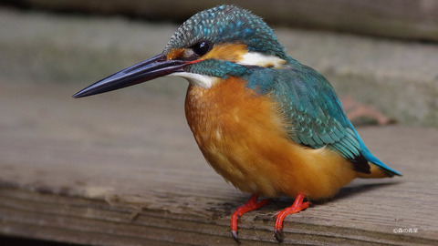 IMGP1730_N_edited-Dt-3k