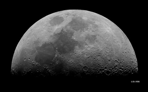 DSC_6013_lapl5_ap26121Tuki-12bw-3k