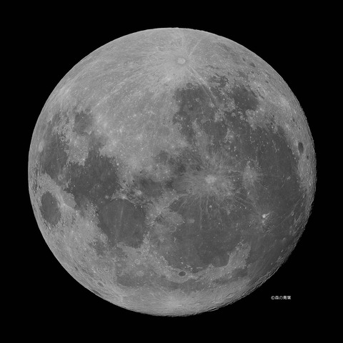 DSC_8744_lapl5_ap62510High-11シャドウ-bw-3k