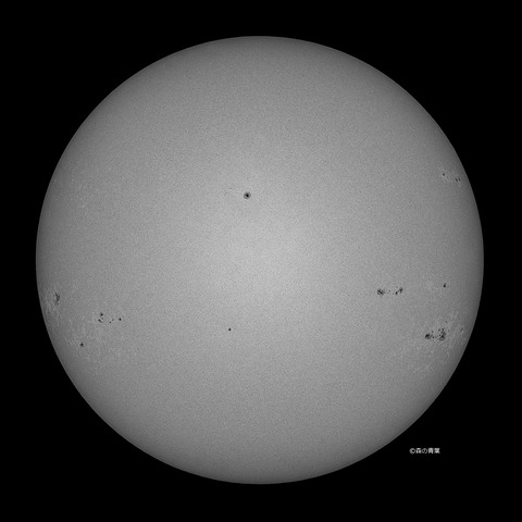 DSC_2395_lapl5_ap63286Layer-123bw-3k