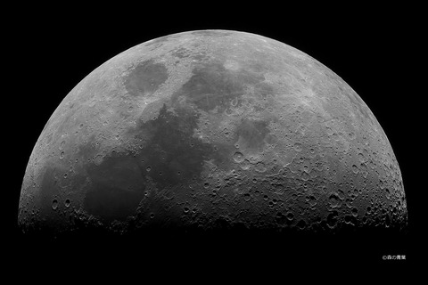 _DSC1141_lapl4_ap25927autostack-11-1bw-3k