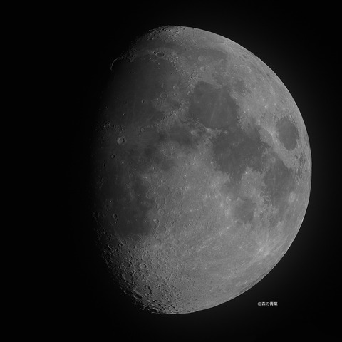 DSC_8656_lapl5_ap39967-Hibw-3k