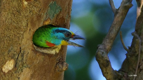 IMGP5993_filtered-3k