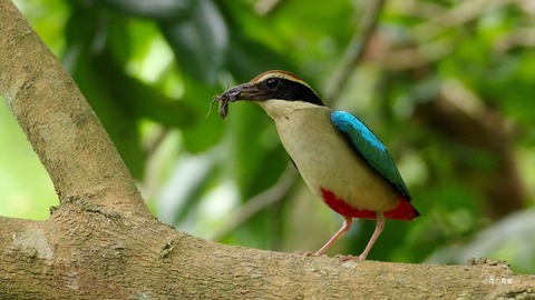 IMGP2092_filtered-3k