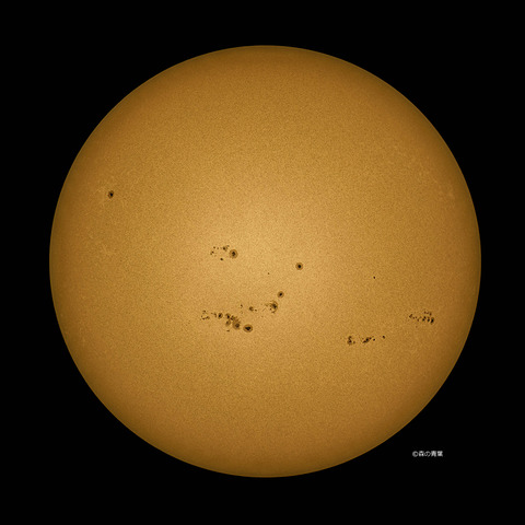 DSC_8511_lapl5_ap63514_conv-50-3k