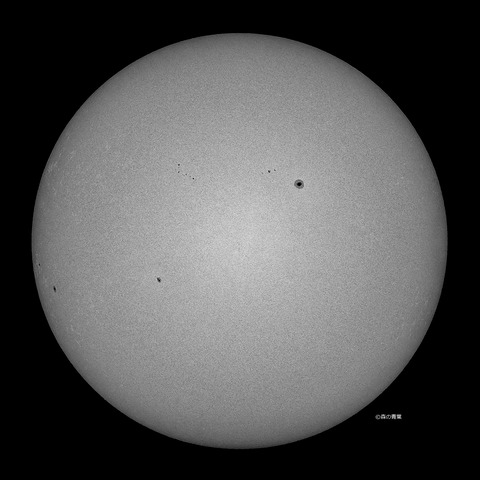 _DSC5518_lapl5_ap63678_conv25bw