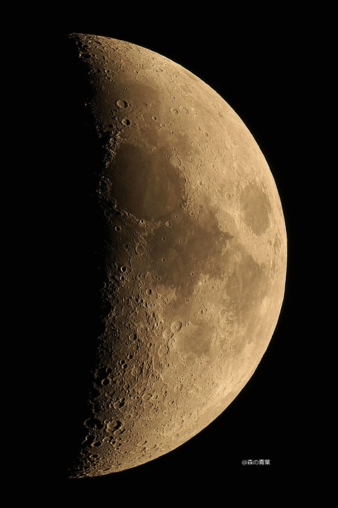 DSC_8294_lapl5_ap43863low-11-3k