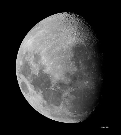 DSC5315std-12x-3Df-3k