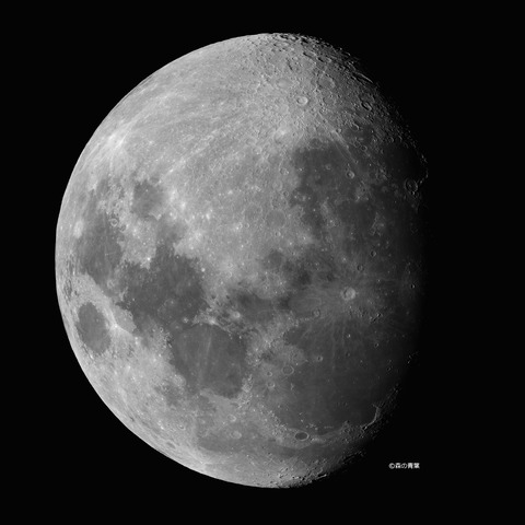 _DSC7664_lapl7_ap20193_conv25_stitch-1bw-3k