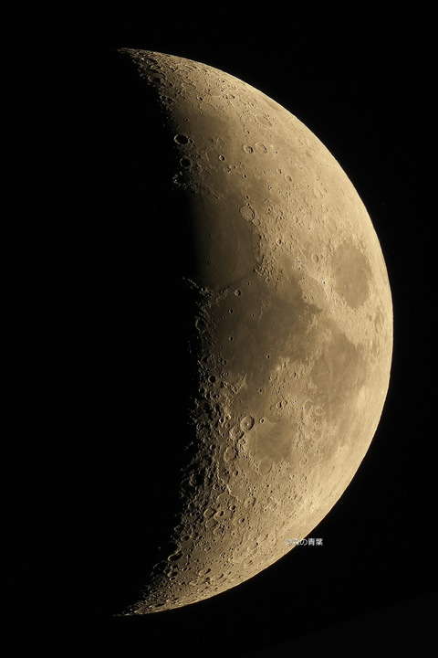 _DSC6015_lapl5_ap186740