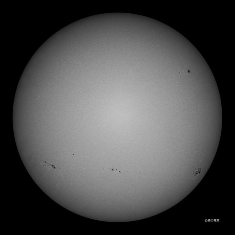 DSC_0338high-12-1snap-3k