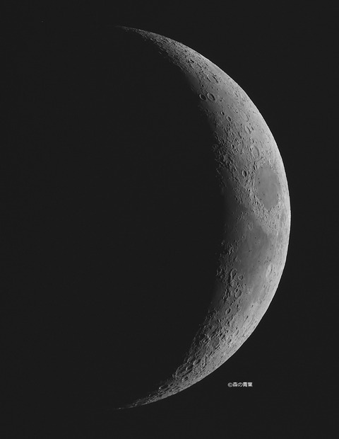 _DSC0083_lapl7_ap182449_conv30_filteredbw-3kx