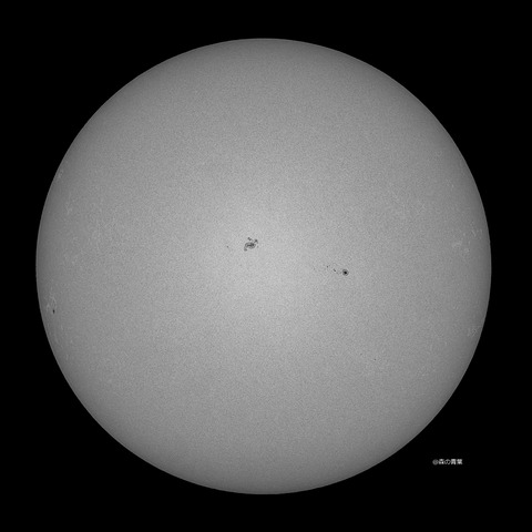 DSC_6303_lapl5_ap65621std2-09bw-3k