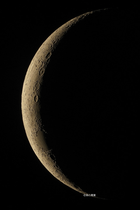 _DSC2620_lapl4_ap49320-1