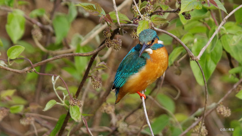 IMGP6053