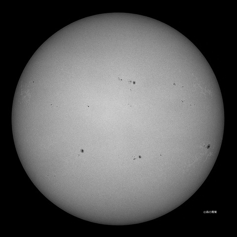 DSC_3337_lapl5_ap62998Std2-09-bw-3k