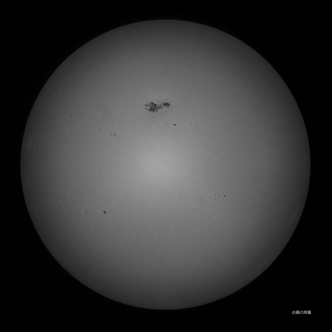 DSC_5122high-12-1snap-3k