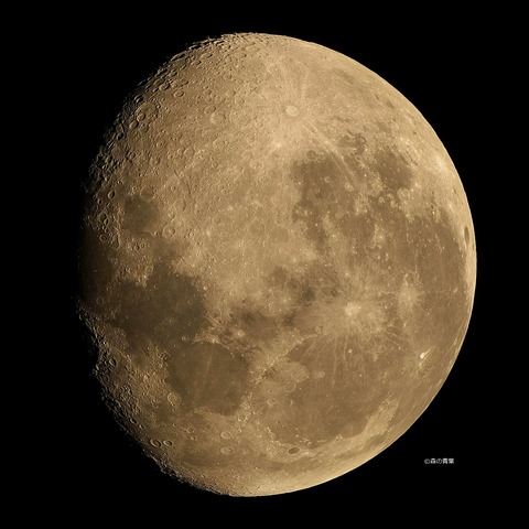 DSC_2903_lapl5_ap53854std2-12-3k