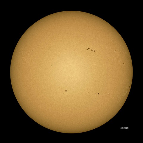 DSC_3437_lapl5_ap62939sun2-12-1-3k