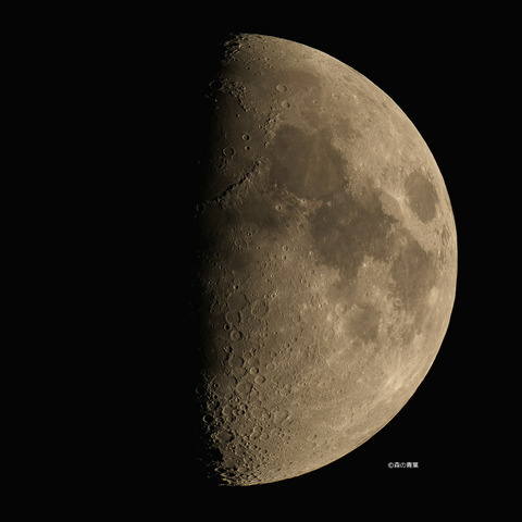 _DSC4296_lapl7_ap7982_conv40-3k