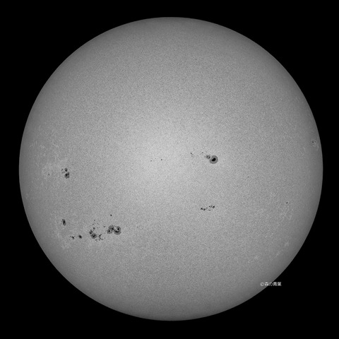 _DSC3821_lapl5_ap5283_conv50bw