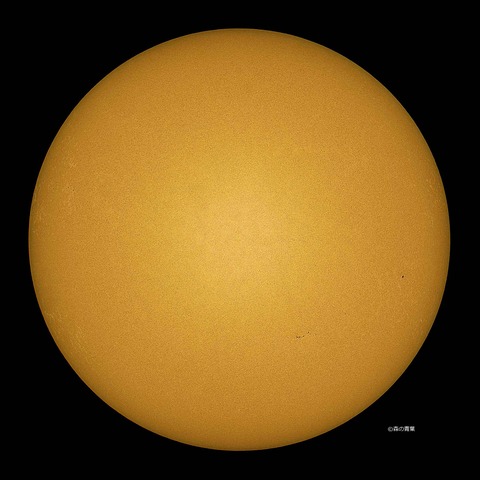 DSC_0381_lapl5_ap65894sun-std-3k