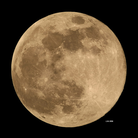 DSC_2337_lapl7_ap12957_conv-40x-3k