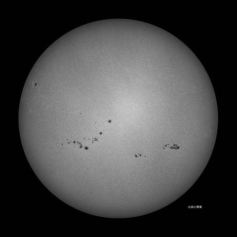 DSC_7811_lapl5_ap63517_conv-80bw-3k