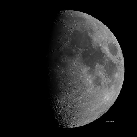 _DSC8437_35X_lapl7_ap13922_conv40sh-V8bw