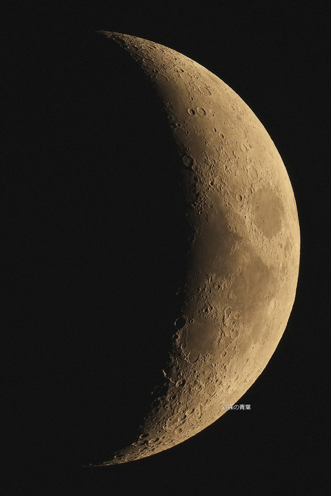 _DSC5264_lapl5_ap131025