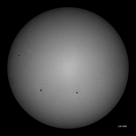 DSC_2651md-14-1snap-3k