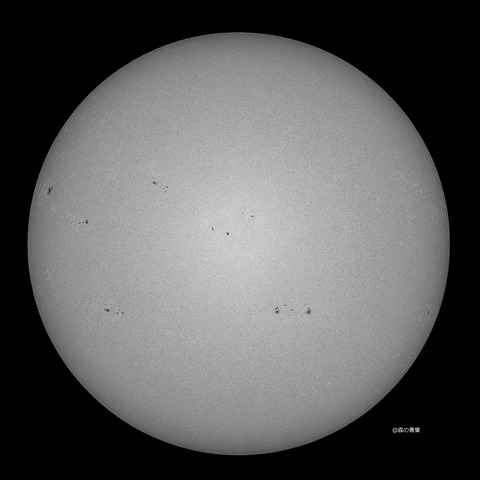 DSC_5123_lapl5_ap65321std2-09bw-3k