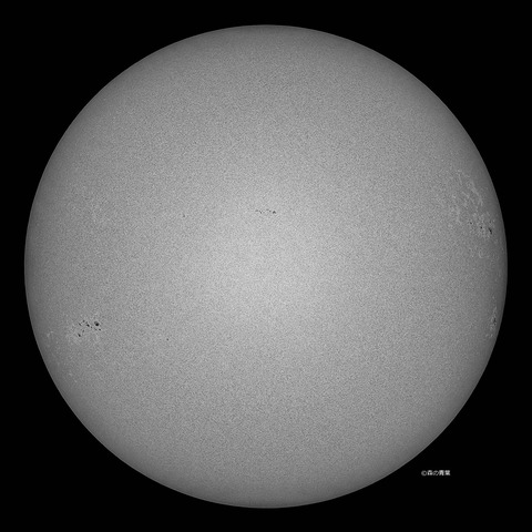 _DSC9848_lapl5_ap63494_conv80bw