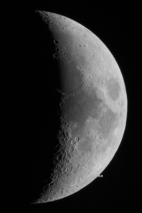 _DSC6515_lapl5_ap189540bw