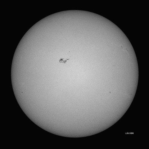 DSC_5294_lapl5_ap63113sun-09bw-3k