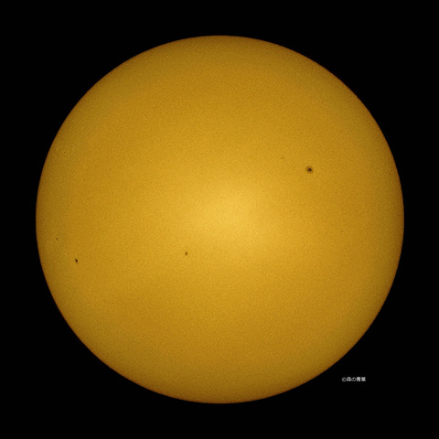 _DSC5818_lapl5_ap6648_conv50