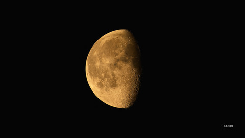 DSC_5855hicont-12denoise100w-4k