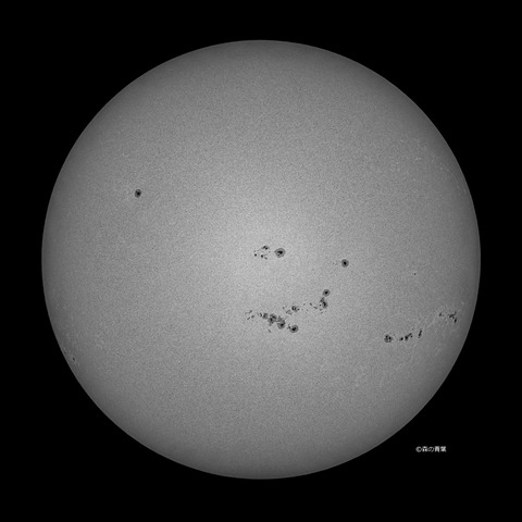 DSC_8691_lapl5_ap63516_conv-50bw-3k