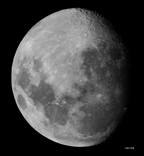 DSC5895hi-12-1monoDf-3k