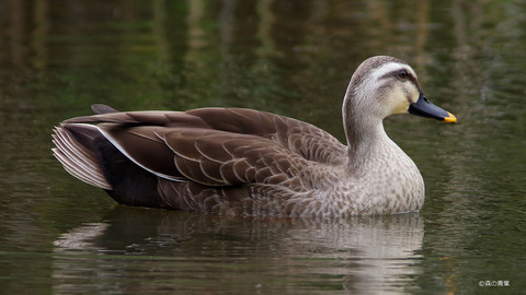 IMGP2404