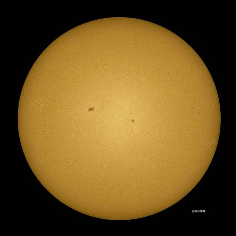 DSC_6043_lapl5_ap65756sharp-12-3k