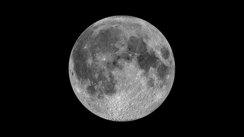 2022-03-03 (1)_stitch-ACT-12w-3w_filtered-x-5k