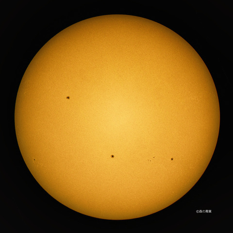 DSC_4151hi-1-11-1-3k