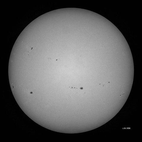 DSC_3077_lapl5_ap62923std2-11bw-3k