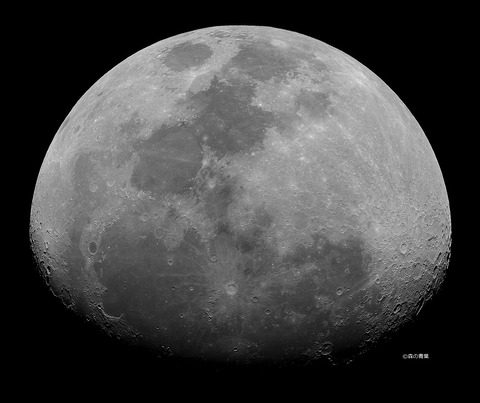 DSC_2274_lapl5_ap50910moon-11bw-3k