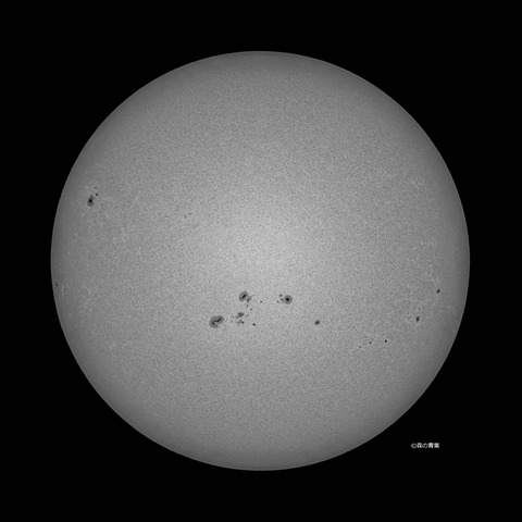 _DSC4650_lapl7_ap67115_conv40bw-3k