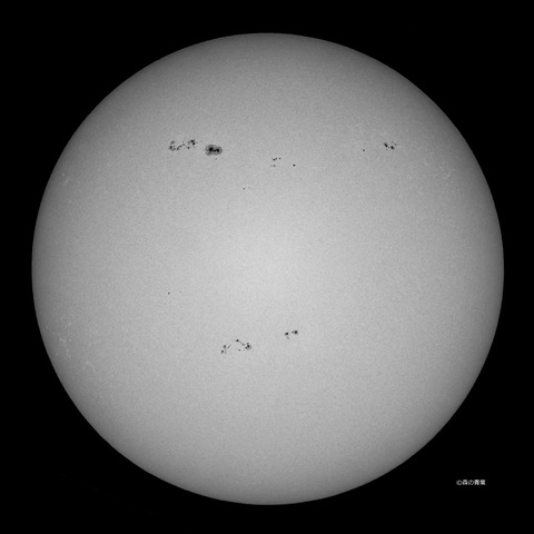 _DSC0120_lapl4_ap66549autostacker-12-1bw-3k