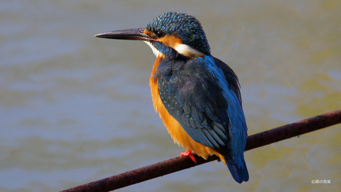 IMGP9380-w-v8-detaik-3k