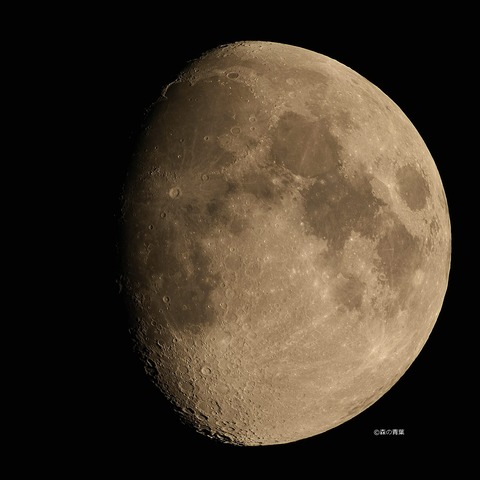 DSC_3316_lapl5_ap42161high-13-3k