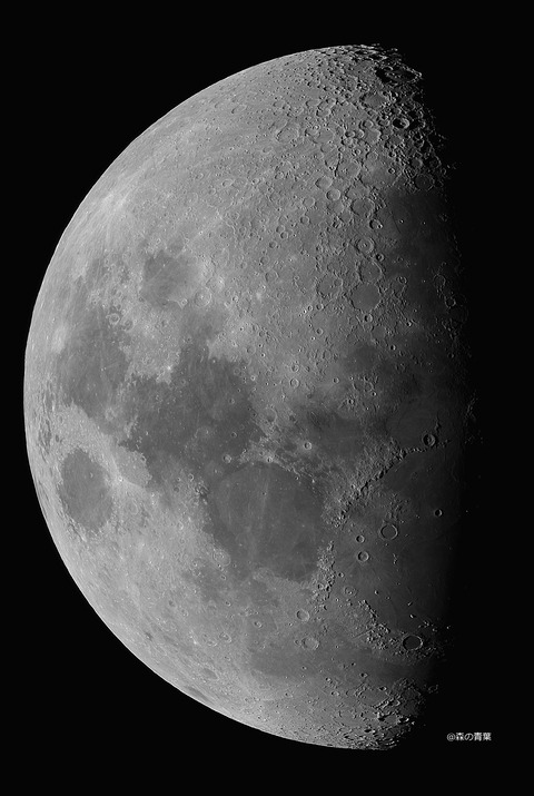 DSC_1195_lapl5_ap37652LOW2-11bw-3k